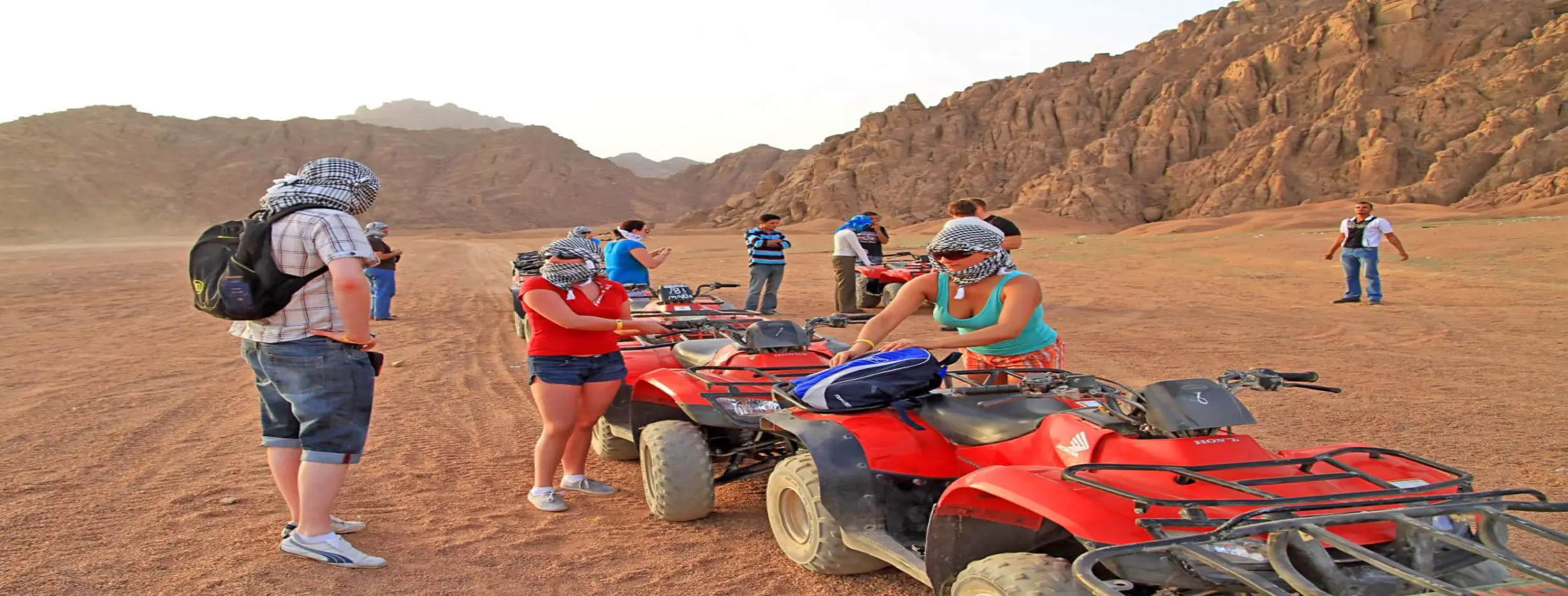 Image for Safari Excursion